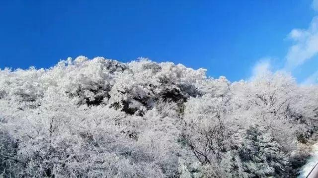 我叫MT4